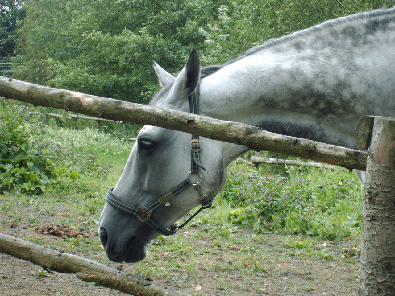 Snímek 056.jpg