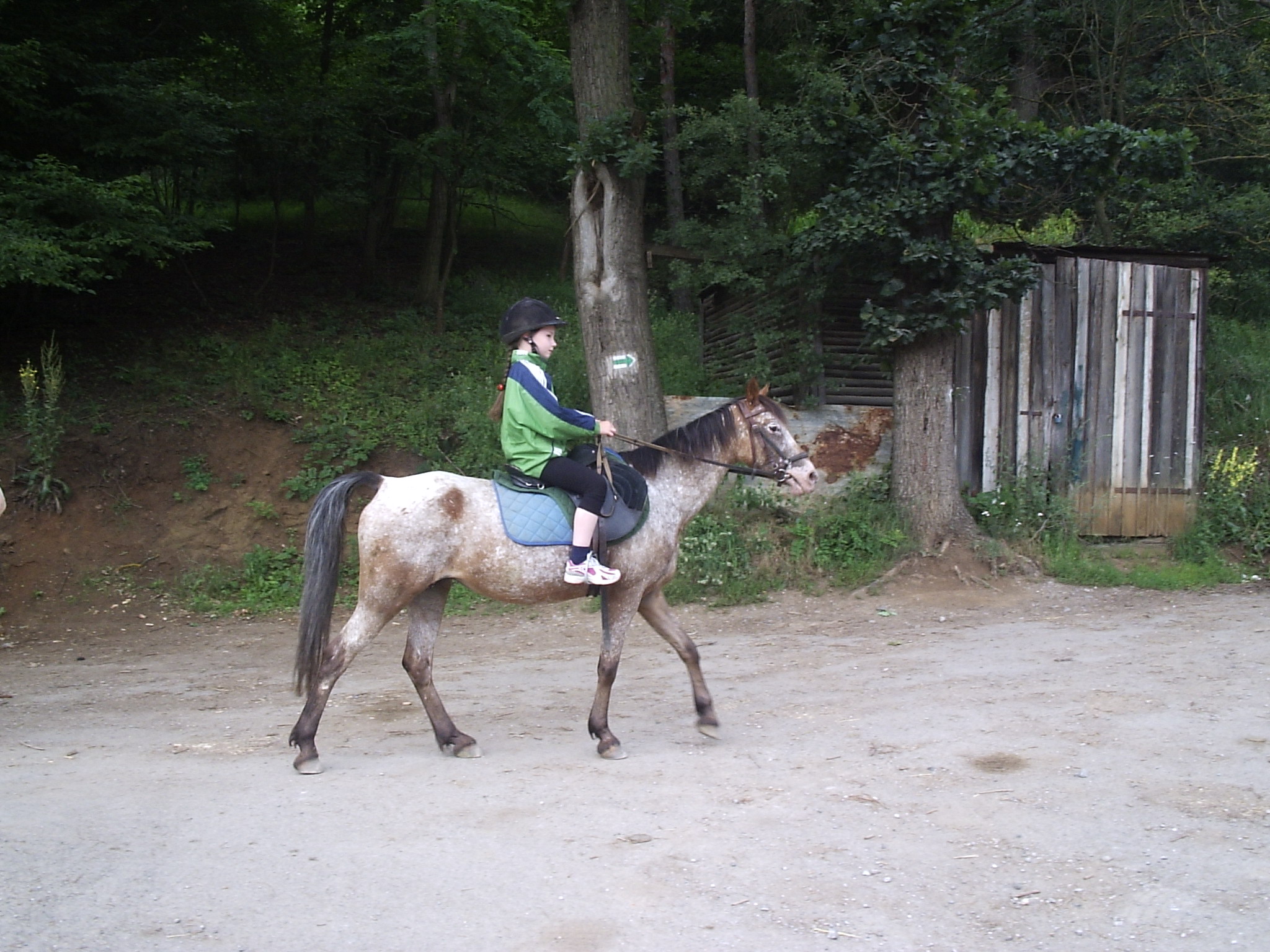 P1290045[3].JPG