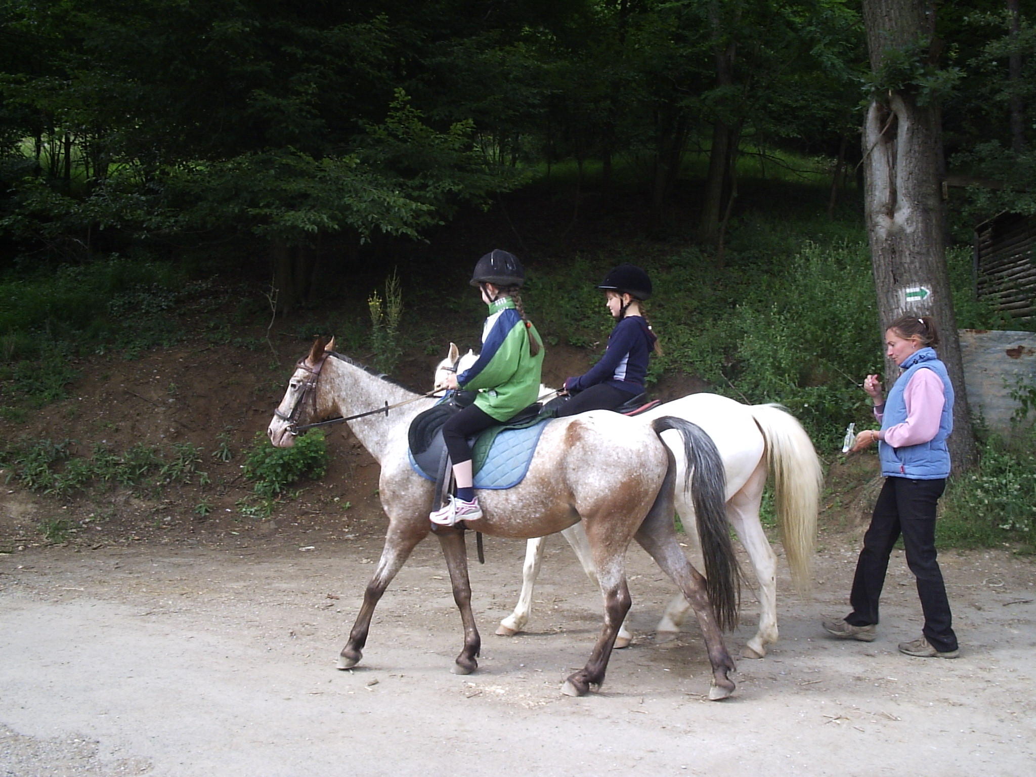 P1290040.JPG