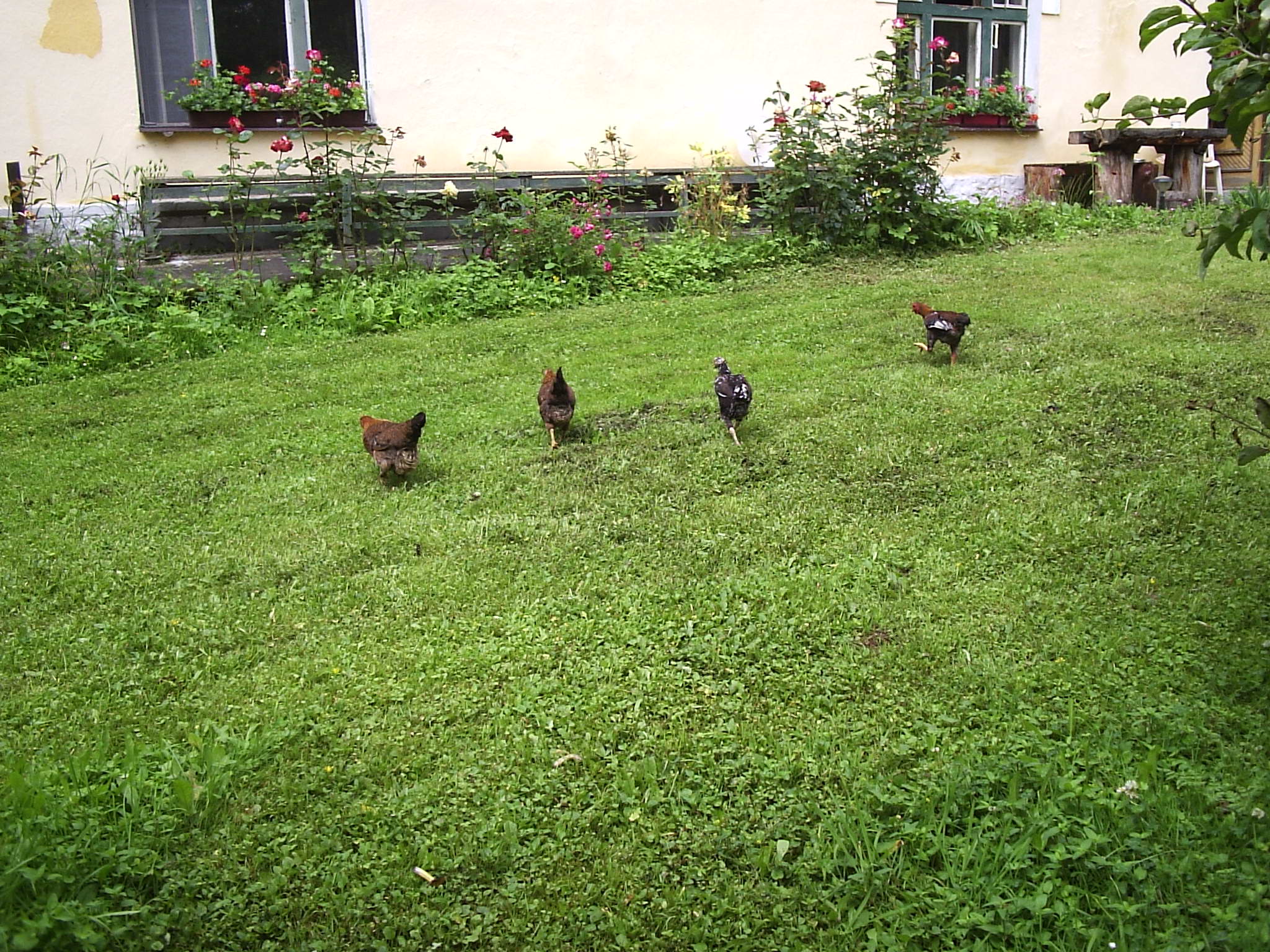 P1170008.JPG