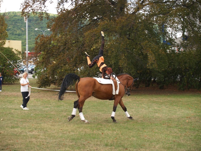jihomoravske-dozinky-07.jpg