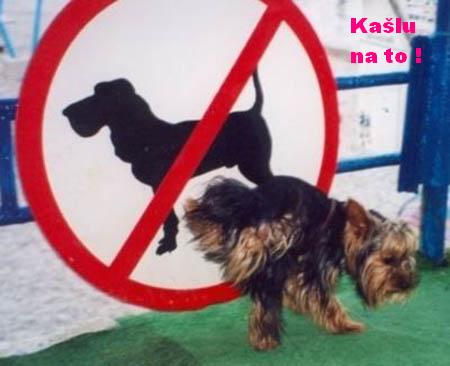 Kaslu na to !.jpg