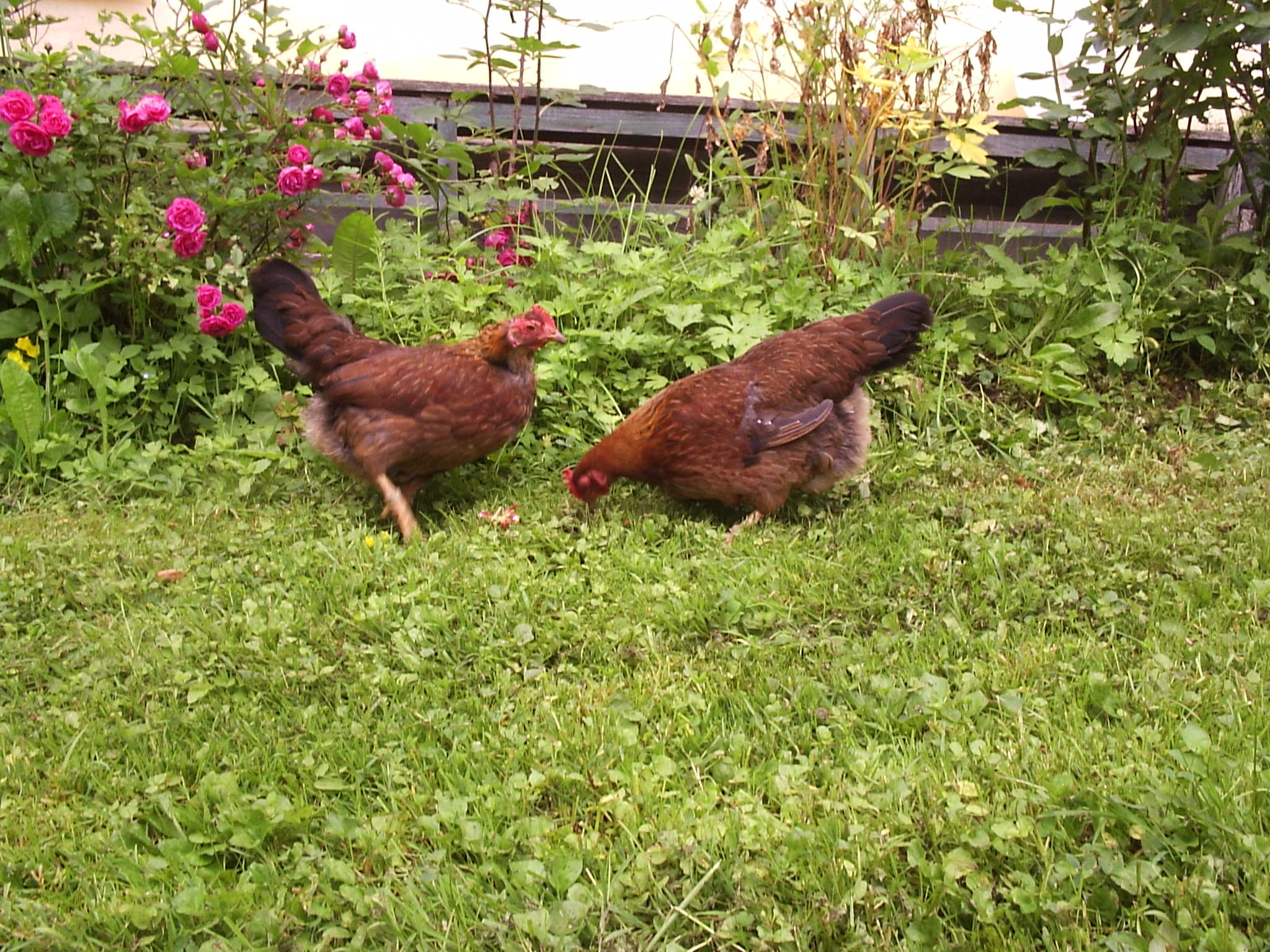 P1170030.JPG
