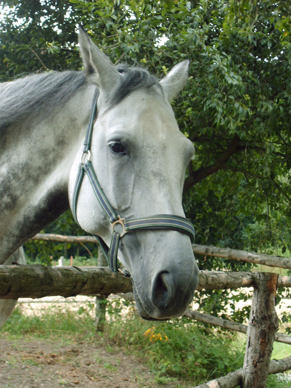 Snímek 063.jpg
